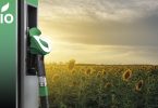 Biocombustíveis competem com alimentação?