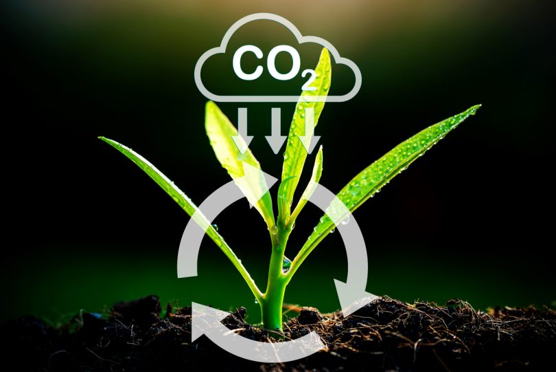 Comissão Europeia prepara proposta sobre agricultura de carbono