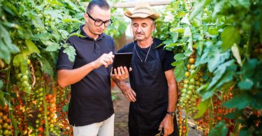 94% dos agricultores portugueses quer investir mais em digitalização no próximo ano
