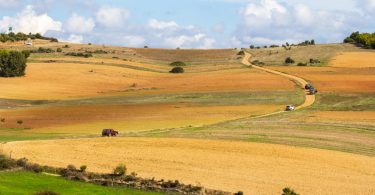 Parlamento Europeu quer medidas imediatas para apoiar zonas rurais