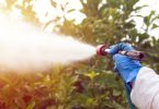 Reduzir os pesticidas na UE? Um processo cada vez mais difícil