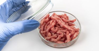 Carne cultivada em laboratório permitirá “obter proteínas tradicionais de forma sustentável”