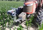 Investigadores portugueses desenvolvem sistema para monitorizar plantações de milho