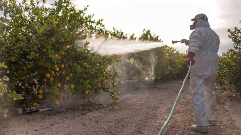 Ministros europeus preocupados com impacto do corte de pesticidas nas exportações
