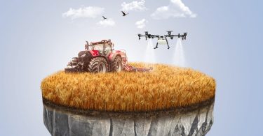 Digitalização já é uma das principais respostas aos desafios agroalimentares