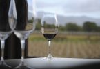 Vinhos de baixo teor alcoólico ou sem álcool – efeitos benéficos na saúde e tendências de mercado