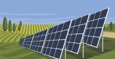 “Agrivoltaico”: produzir energia e mitigar alterações climáticas
