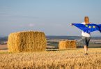 NTG, sementes e solo: Uma Europa de novidades para a agricultura?