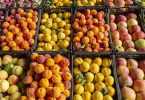 Exportações de frutas e legumes crescem em valor, mas descem em volume
