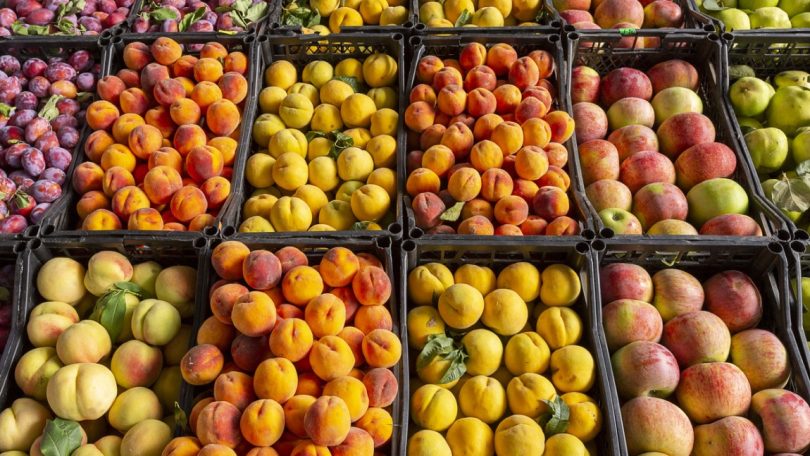 Exportações de frutas e legumes crescem em valor, mas descem em volume
