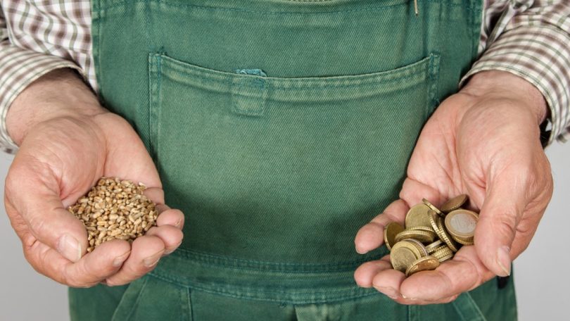 Remuneração real dos agricultores desceu 1,2% no 2º trimestre de 2023