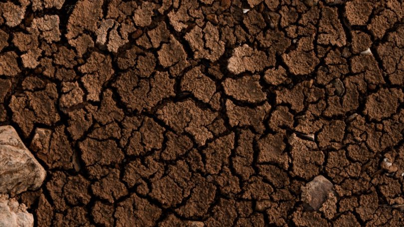 97% do território português está em seca. Situação voltou a piorar em julho