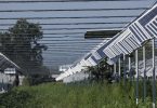 Estudo: Agrivoltaico em 1% da SAU poderia ultrapassar objetivos de energia solar para 2030