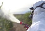 Eurodeputados ambientais defendem redução de 65% dos pesticidas mais perigosos