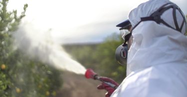Eurodeputados ambientais defendem redução de 65% dos pesticidas mais perigosos