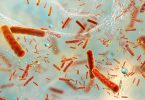 Emergência da resistência aos antibióticos em explorações animais
