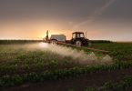 Reduzir pesticidas? A incerteza reina após não do Parlamento Europeu 