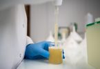 Toopi Organics quer testar bioestimulante de urina humana em Portugal 