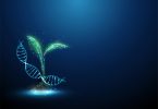 Novas Técnicas Genómicas (NTG) – O debate europeu finalmente arranca  