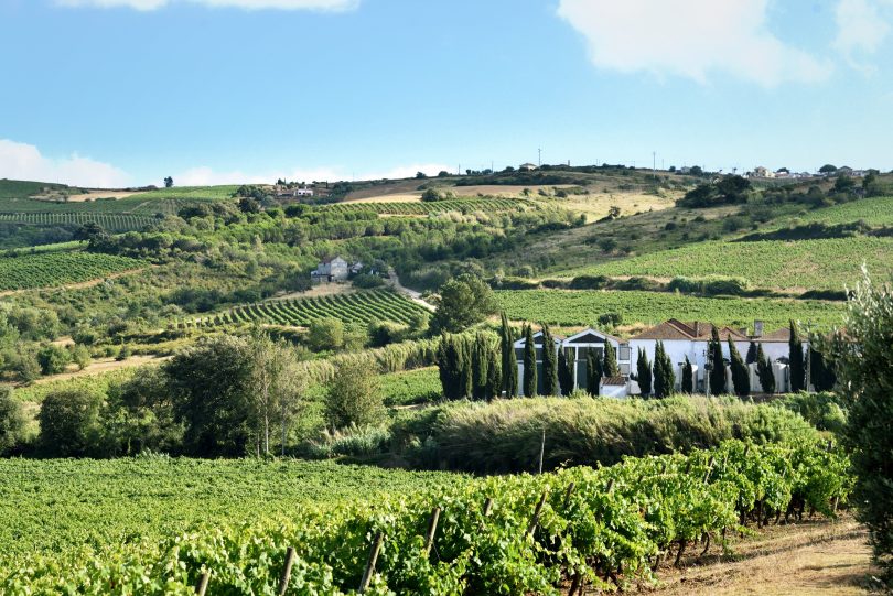 WineStone inicia 2024 com aquisição da Quinta de Pancas  