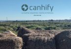 Hemporama é agora Canhify com objetivo de desenvolver cânhamo industrial em Portugal 