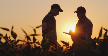EUA: Agricultores estão mais envelhecidos e há menos terra arável