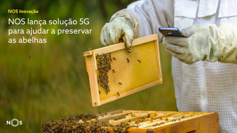 AI-belha vai avaliar a saúde das colmeias através do som