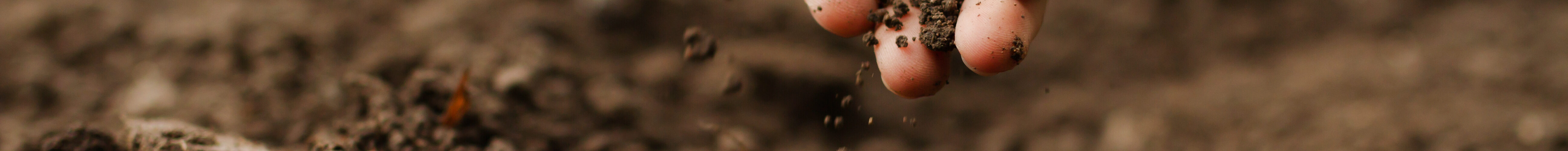 Eurodeputados estabelecem medidas para alcançar solos saudáveis até 2050