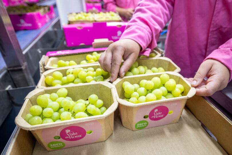 Vale da Rosa poupa 80 toneladas de plástico em 2023