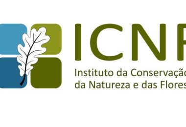 José Godinho Calado é o novo diretor do ICNF do Alentejo