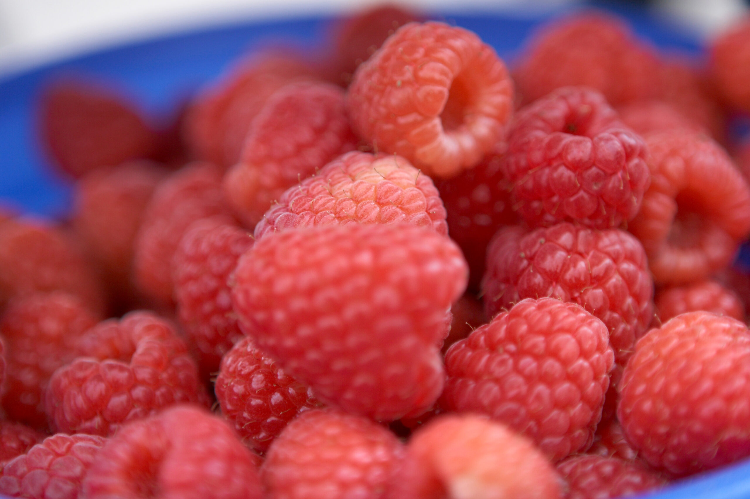 Exportações de frutas, legumes e flores cresceram 13,4% no primeiro semestre