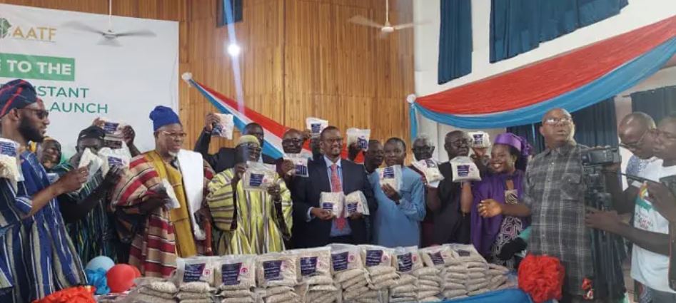 Gana aprova variedade de feijão-frade resistente a pragas