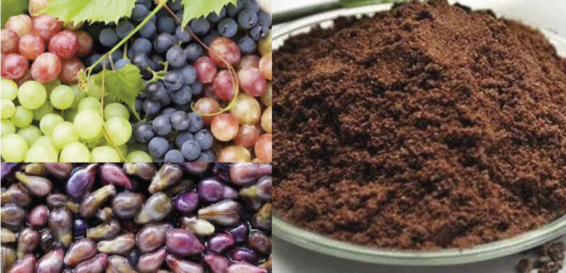 Aplicação do extrato de grainha de uva em produtos cárneos