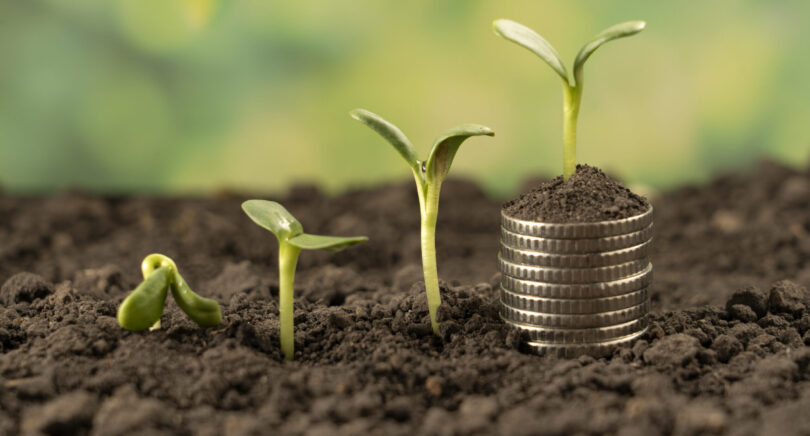 Agricultores vão receber apoio excecional de 60 milhões de euros em 2025