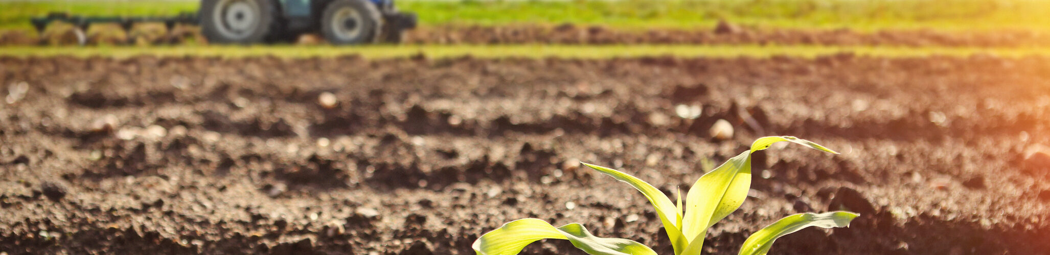 Bruxelas aprova reprogramação do PEPAC