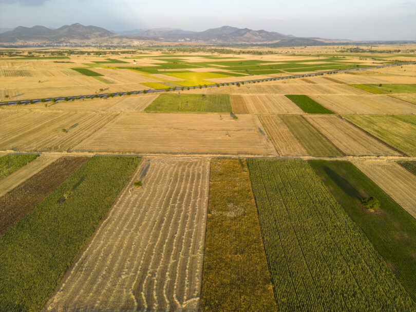 Há um projeto alentejano que quer promover práticas agrícolas regenerativas