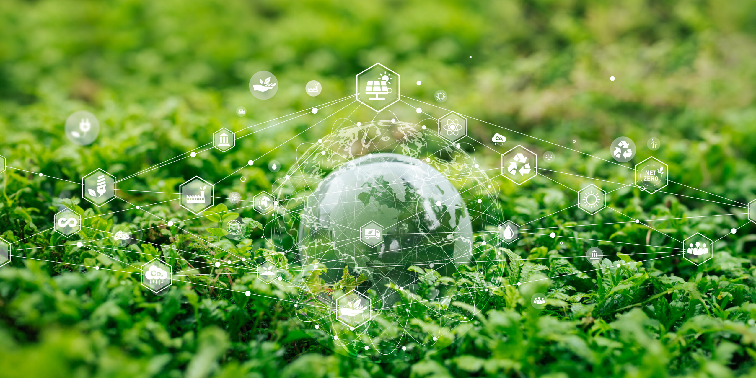 Há um projeto que quer contribuir para o aumento de explorações agrícolas europeias sustentáveis