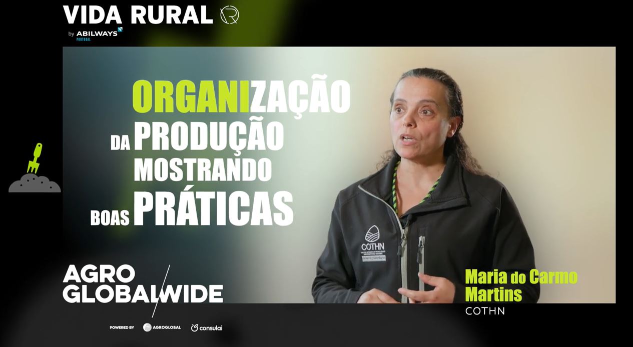 Projeto em Portugal quer melhorar o nível de organização da produção