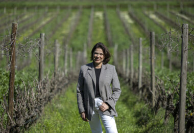 Uma vinha “vitoriosa” e resiliente