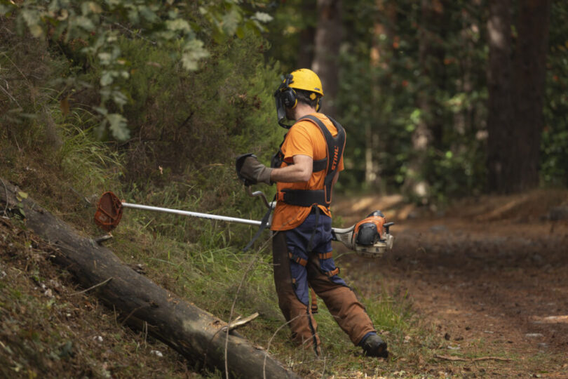 Governo dá mais tempo para limpeza de terrenos. Novo prazo termina a 15 de junho