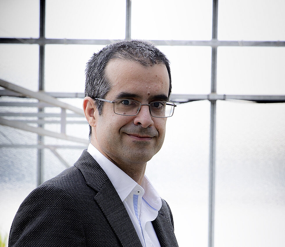 “A agricultura biológica não pode alimentar o mundo: é preciso integrar a ciência”