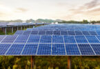 Painéis solares ajudam plantas a crescer em terrenos áridos, avança estudo