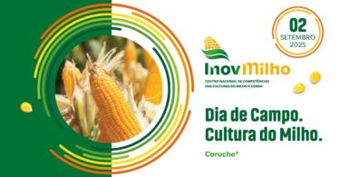 InovMilho organiza Dia de Campo com foco na sustentabilidade e no combate aos prejuízos causados pelo javali