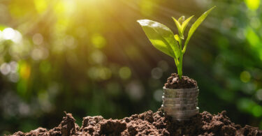 Atrasos marcam execução de projetos agrícolas do PRR, segundo Tribunal de Contas