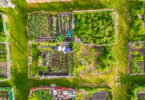 Permacultura ganha tração como alternativa à agricultura tradicional