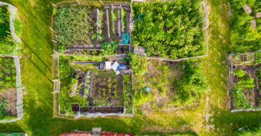 Permacultura ganha tração como alternativa à agricultura tradicional