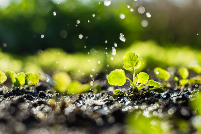 Gulbenkian vai apoiar projetos de gestão sustentável da água e do solo na agricultura