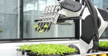 Agricultura ‘inteligente’ na China permite produzir hortícolas sem intervenção humana