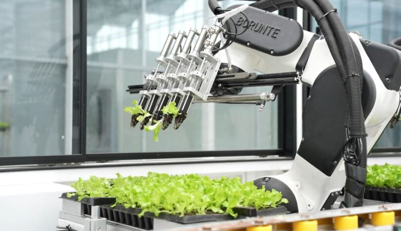 Agricultura ‘inteligente’ na China permite produzir hortícolas sem intervenção humana