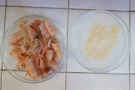 Startup argentina cria aditivo de fertilizantes feito de cascas de camarão